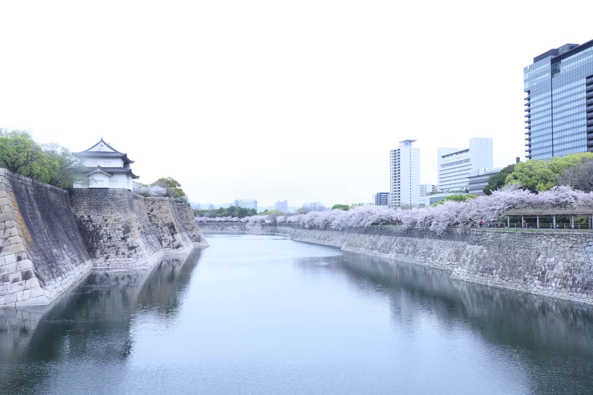■桜撮影（屋外）