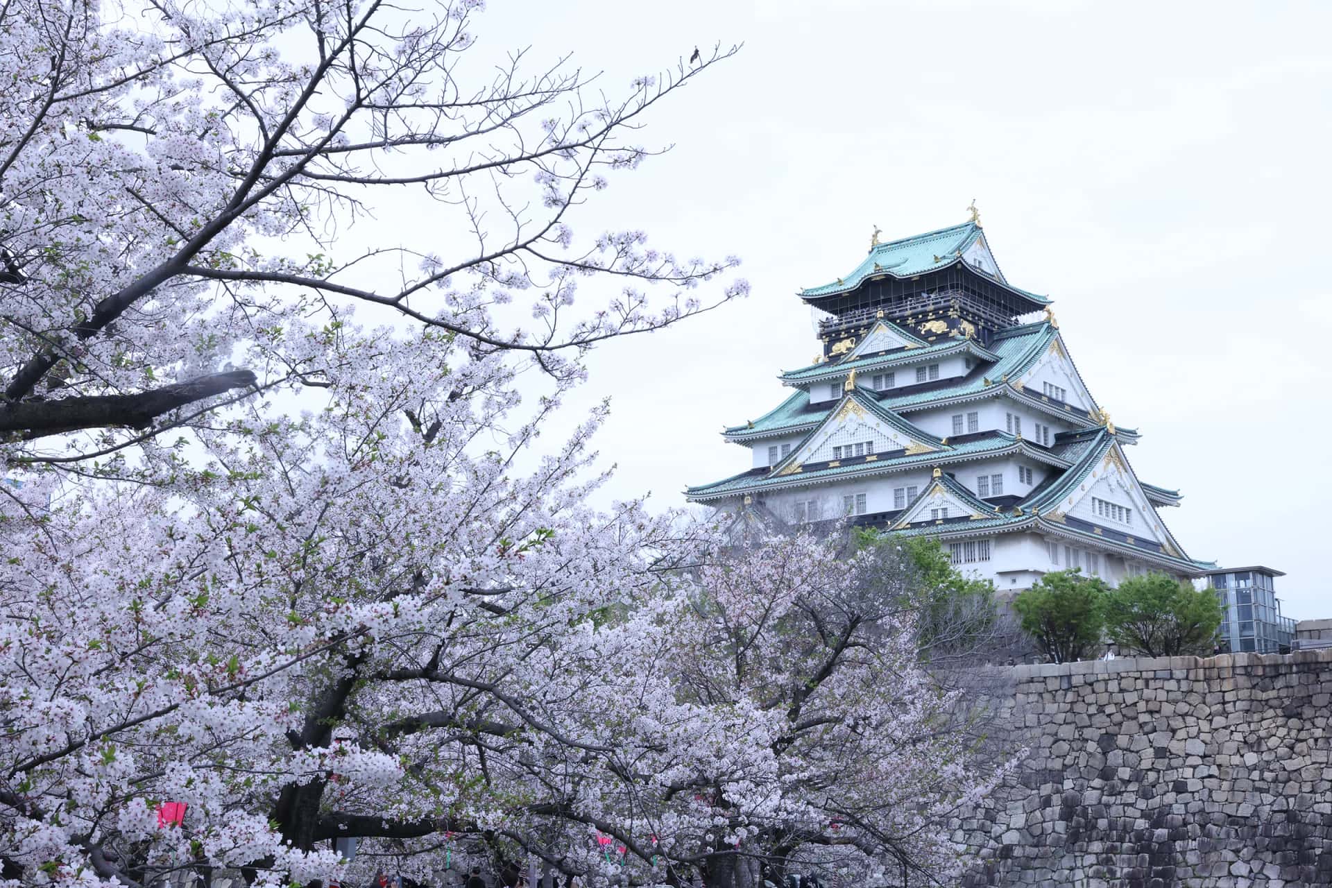 ■大阪城撮影