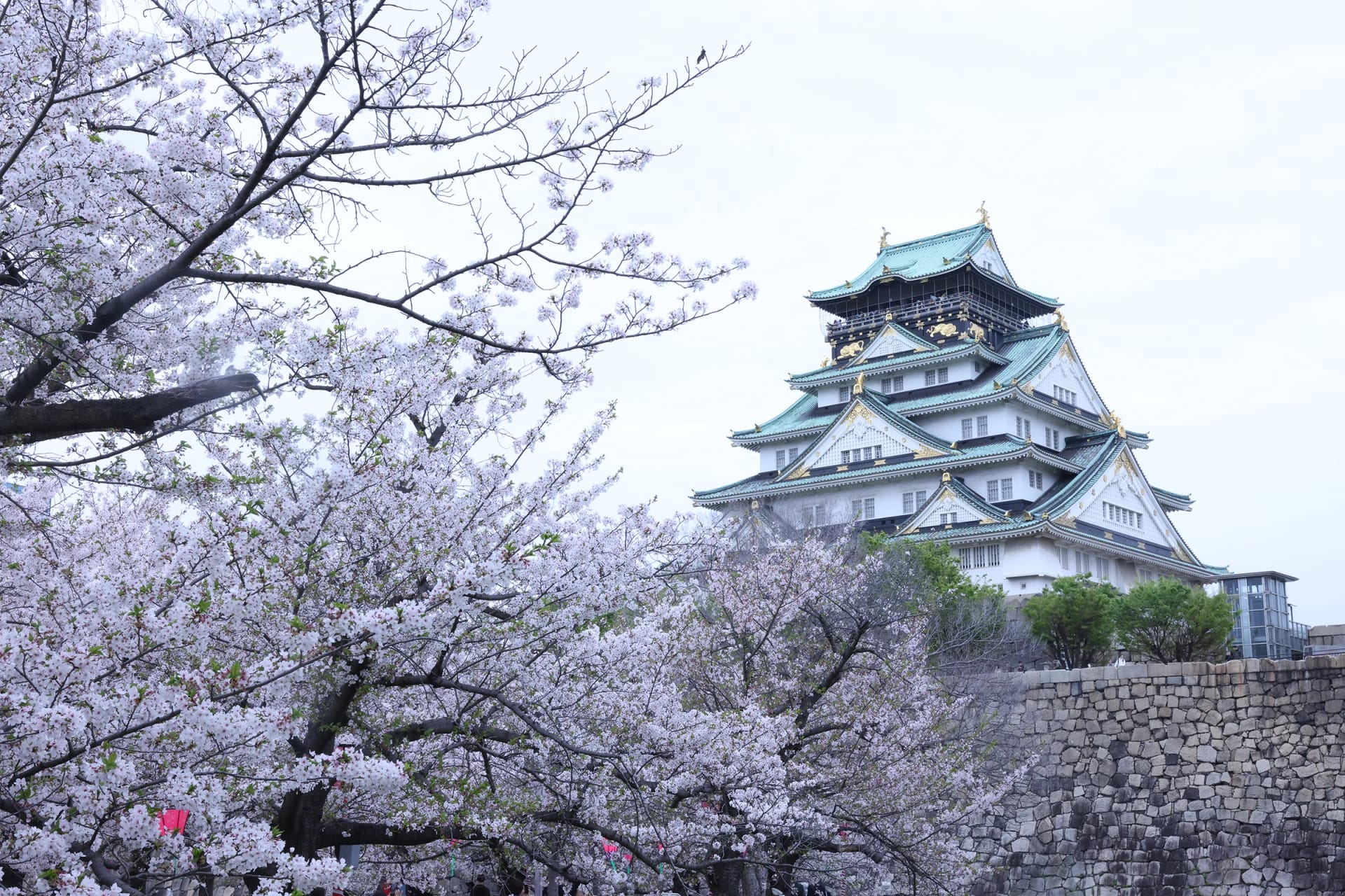 K2 Photo Studio — Photography in Osaka